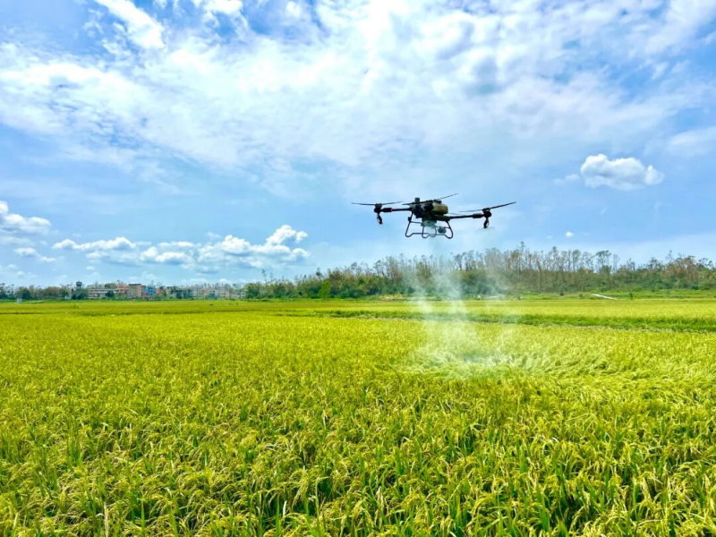 1760490879485466KY9m.png 圖片2.png