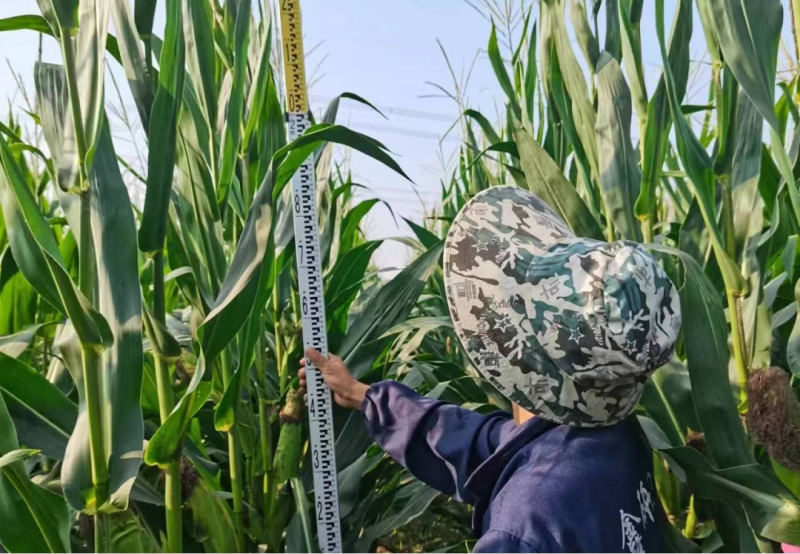 1760494598132064CILT.png 圖片10.png